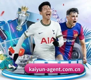 五大服务分区,信息按项目分类 - kaiyun